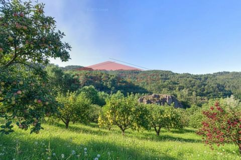 Helårsgrund i Cinfaes, Viseu, Cinfaes - € 111.600 | Ref: AV320 - foto 5