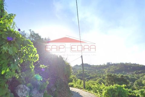 Helårsgrund i Cinfaes, Viseu, Cinfaes - € 111.600 | Ref: AV320 - foto 6