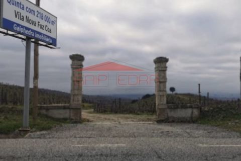 Grond in Almendra, Guarda, Almendra - € 108.600 | Ref: AV540 - foto 1