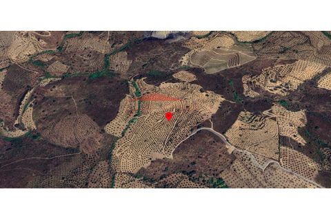 Grond in Almendra, Guarda, Almendra - € 108.600 | Ref: AV540 - foto 2