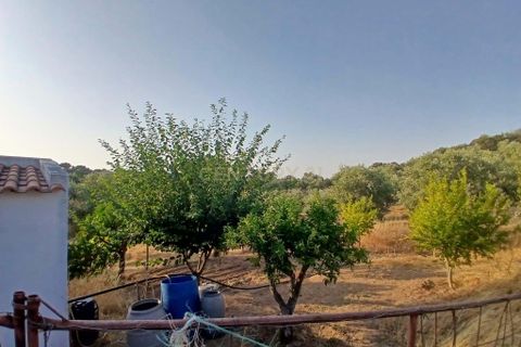 Helårsgrund i Vila Vicosa, Evora, Vila Vicosa - € 65.000 | Ref: C0284-00855 - foto 7