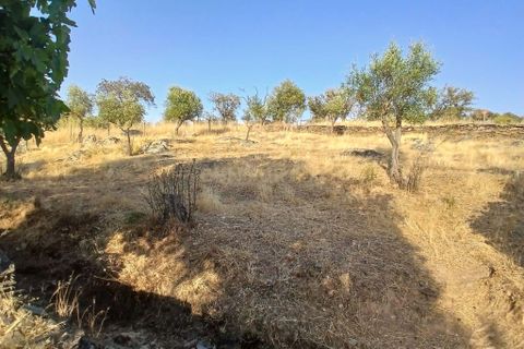 Helårsgrund i Vila Vicosa, Evora, Vila Vicosa - € 65.000 | Ref: C0284-00855 - foto 11