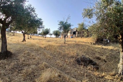 Helårsgrund i Vila Vicosa, Evora, Vila Vicosa - € 65.000 | Ref: C0284-00855 - foto 12