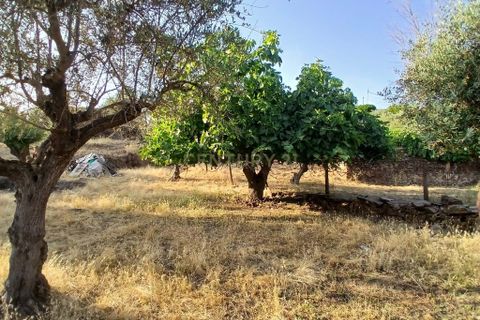 Helårsgrund i Vila Vicosa, Evora, Vila Vicosa - € 65.000 | Ref: C0284-00855 - foto 14