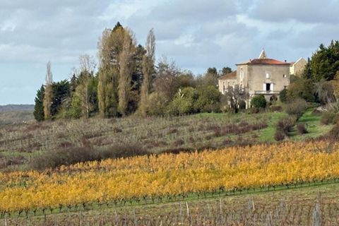 Farm i Castelviel, Gironde, Castelviel - € 480.000 | Ref: 428303B-BUSINESS - foto 1