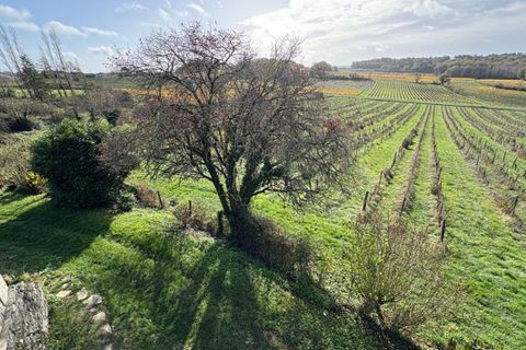 Farm i Castelviel, Gironde, Castelviel - € 480.000 | Ref: 428303B-BUSINESS - foto 2