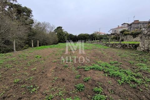 Villa i Caminha, Viana do Castelo, Caminha - € 460.000 | Ref: D396 - foto 19