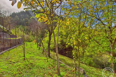 Landejendom i Lantosque, Alpes-Maritimes, Lantosque - € 160.000 | Ref: IVCP1362 - foto 6