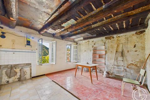 Landejendom i Lantosque, Alpes-Maritimes, Lantosque - € 160.000 | Ref: IVCP1362 - foto 11
