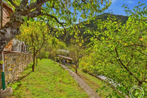 Landejendom i Lantosque, Alpes-Maritimes, Lantosque - € 160.000 | Ref: IVCP1362 - foto 14