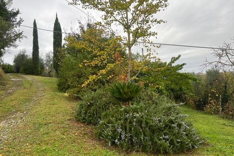Villa i Impruneta, Florence, Impruneta - € 525.000 | Ref: POZZOLATICO - foto 30
