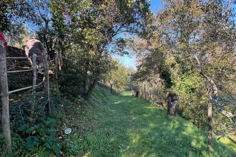 Villa i Impruneta, Florence, Impruneta - € 525.000 | Ref: POZZOLATICO - foto 38