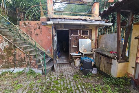 Lejlighed i Genoa, Genoa, Genoa - € 79.000 | Ref: 26518 - foto 24
