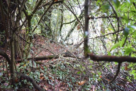 Villa a Bubry, Morbihan, Bubry - € 14.500 | Ref: 560022424 - foto 6