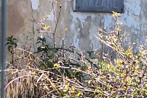 Helårsgrund i Sintra, Lisbon, Sintra - € 303.600 | Ref: L2025748 - foto 3
