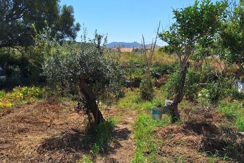 Helårsgrund i Sintra, Lisbon, Sintra - € 303.600 | Ref: L2025748 - foto 11