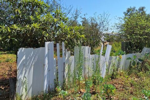 Helårsgrund i Sintra, Lisbon, Sintra - € 303.600 | Ref: L2025748 - foto 12
