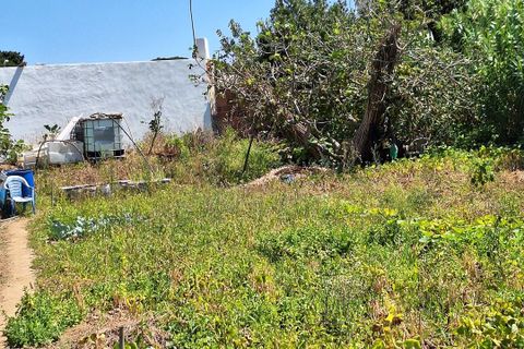 Helårsgrund i Sintra, Lisbon, Sintra - € 303.600 | Ref: L2025748 - foto 25