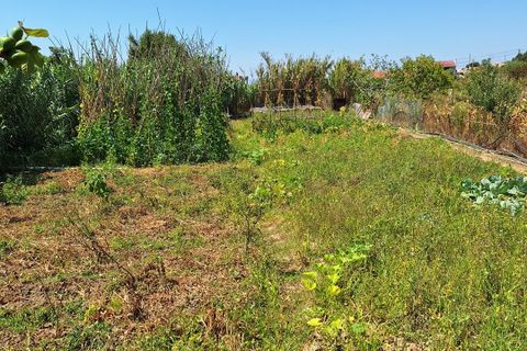 Helårsgrund i Sintra, Lisbon, Sintra - € 303.600 | Ref: L2025748 - foto 28
