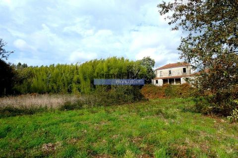 Farm i Viana do Castelo, Viana do Castelo, Viana do Castelo - € 1.500.000 | Ref: 9881_Q - foto 3