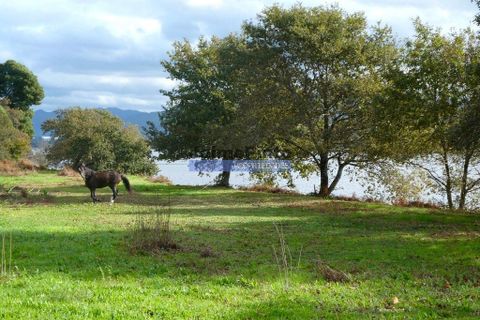 Farm i Viana do Castelo, Viana do Castelo, Viana do Castelo - € 1.500.000 | Ref: 9881_Q - foto 7
