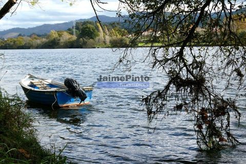 Farm i Viana do Castelo, Viana do Castelo, Viana do Castelo - € 1.500.000 | Ref: 9881_Q - foto 8