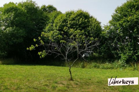 Grond in Pluguffan, Finistere, Pluguffan - € 115.500 | Ref: DOM25466 - foto 2
