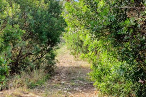 Villa i Buccino, Salerno, Buccino - € 65.000 | Ref: 567 - foto 19