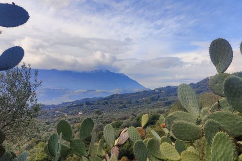 Villa i Buccino, Salerno, Buccino - € 65.000 | Ref: 567 - foto 35