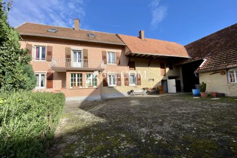 Villa a Hangenbieten, Bas-Rhin, Hangenbieten - € 257.500 | Ref: 264_V3480062329 - foto 11