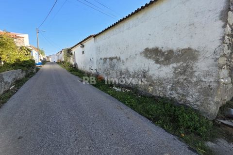 Masia a Tomar, Santarem, Tomar - € 55.000 | Ref: 01773-25 - foto 2