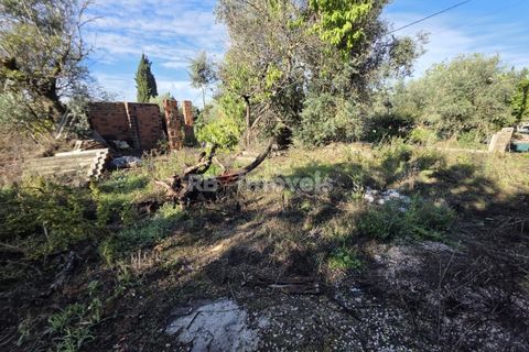 Masia a Tomar, Santarem, Tomar - € 55.000 | Ref: 01773-25 - foto 21