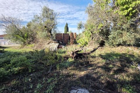 Masia a Tomar, Santarem, Tomar - € 55.000 | Ref: 01773-25 - foto 26