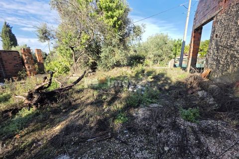 Masia a Tomar, Santarem, Tomar - € 55.000 | Ref: 01773-25 - foto 29