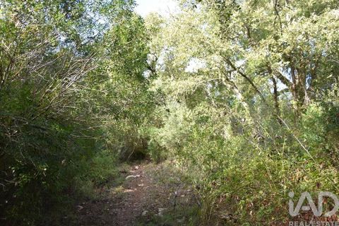 Tomt i Tomar, Santarem, Tomar - € 8 500 | Ref: 751818 - foto 21