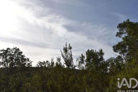 Tomt i Tomar, Santarem, Tomar - € 8 500 | Ref: 751818 - foto 24