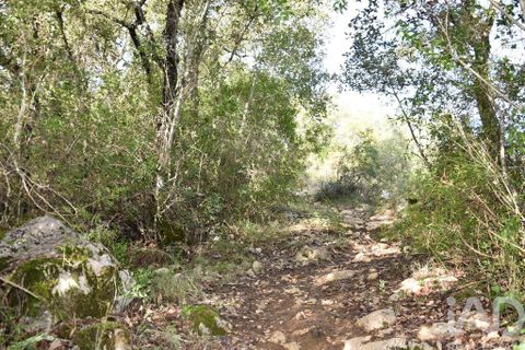 Tomt i Tomar, Santarem, Tomar - € 8 500 | Ref: 751818 - foto 35