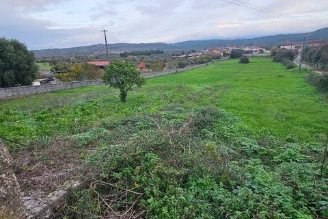 Helårsgrund i Penela, Coimbra, Penela - € 50.000 | Ref: 751545 - foto 12