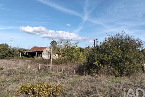 Byhus i Entroncamento, Santarem, Entroncamento - € 110.000 | Ref: 751403 - foto 5