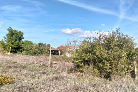 Byhus i Entroncamento, Santarem, Entroncamento - € 110.000 | Ref: 751403 - foto 6