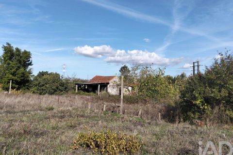 Byhus i Entroncamento, Santarem, Entroncamento - € 110.000 | Ref: 751403 - foto 7