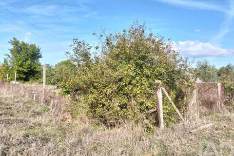 Byhus i Entroncamento, Santarem, Entroncamento - € 110.000 | Ref: 751403 - foto 9