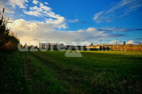 Helårsgrund i Mosteiros, Sao Miguel, Mosteiros - € 399.000 | Ref: 21201 - foto 6