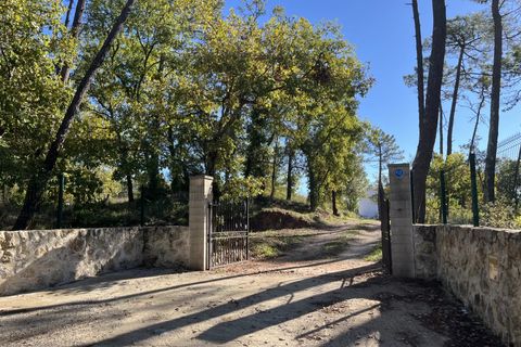 Villa i Saint-Paul-en-Foret, Var, Saint-Paul-en-Foret - € 1.260.000 | Ref: HH-15980026 - foto 24