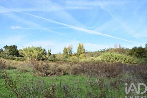 Helårsgrund i Ourem, Santarem, Ourem - € 8.500 | Ref: 751868 - foto 2