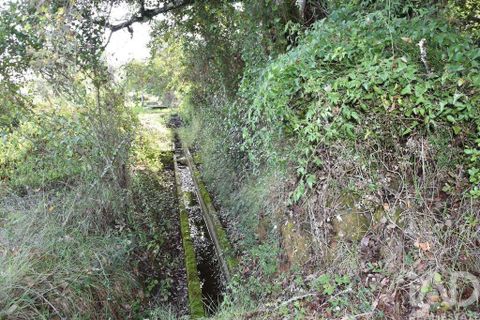 Helårsgrund i Ourem, Santarem, Ourem - € 8.500 | Ref: 751868 - foto 3
