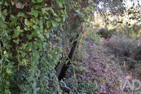 Helårsgrund i Ourem, Santarem, Ourem - € 8.500 | Ref: 751868 - foto 4