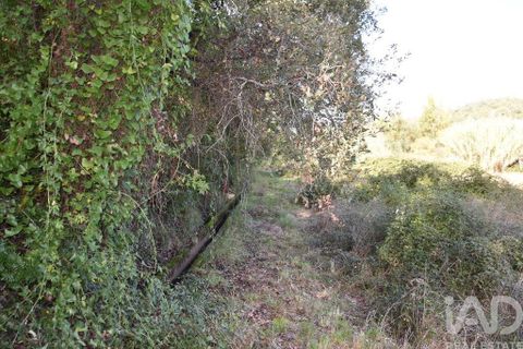Helårsgrund i Ourem, Santarem, Ourem - € 8.500 | Ref: 751868 - foto 6