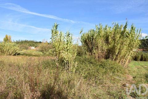Helårsgrund i Ourem, Santarem, Ourem - € 8.500 | Ref: 751868 - foto 7