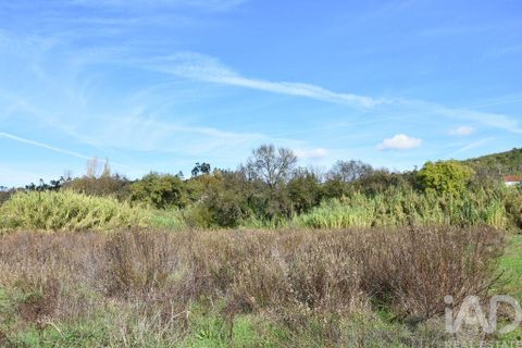 Helårsgrund i Ourem, Santarem, Ourem - € 8.500 | Ref: 751868 - foto 10